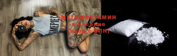 прущие грибы Баксан