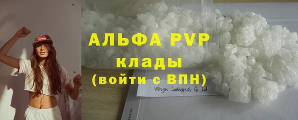 прущие грибы Баксан
