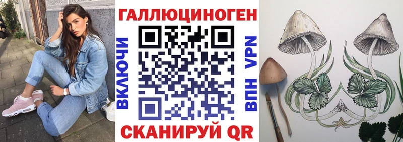 закладки Урай Галлюциногенные грибы прущие грибы